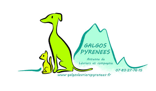 Galgos Pyrénées, adopter un chien ou un chat à Pau et ses environs. 
