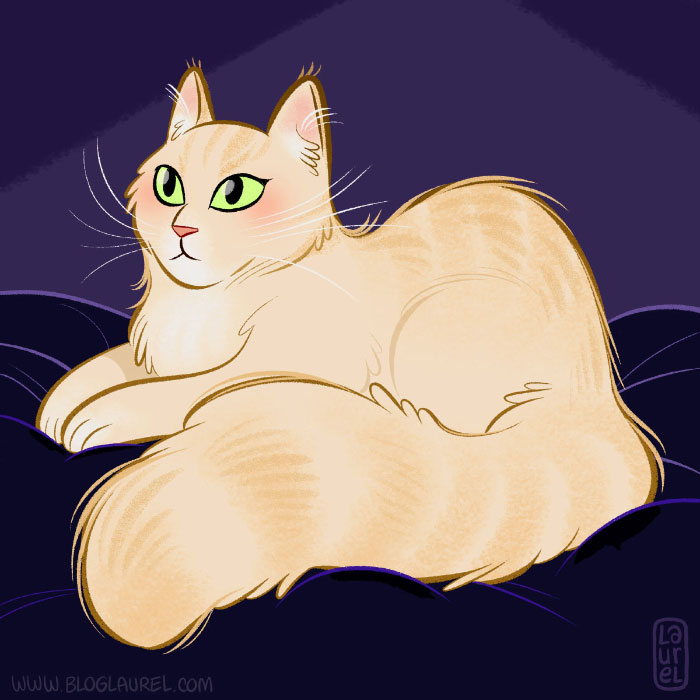 Illustration de chat (un Maine Coon blanc). 